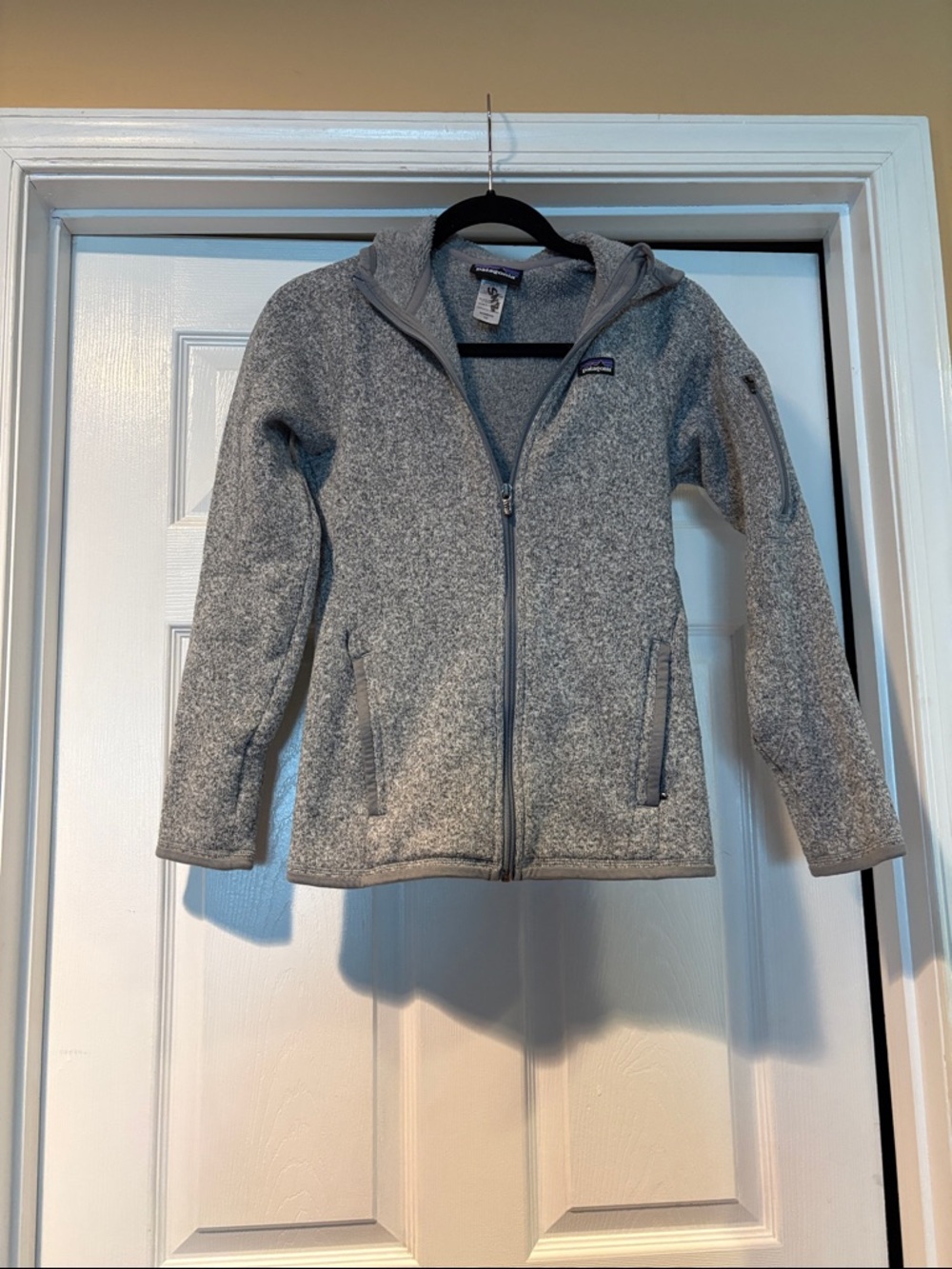Patagonia Light Gray Hooded Full-Zip Fleece Jacket